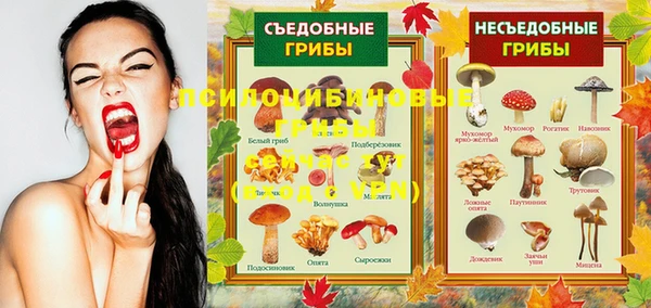 соль ск Белоозёрский