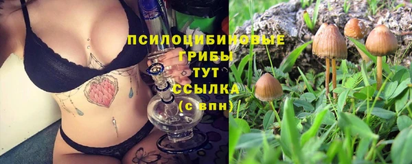 соль ск Белоозёрский