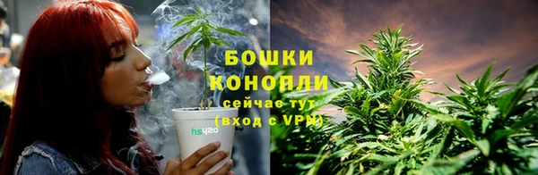 наркотики Белокуриха