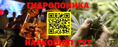 крисы Мариинск
